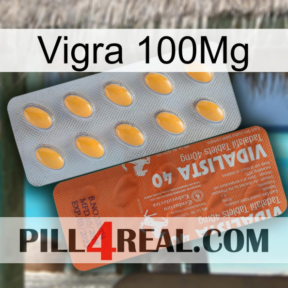 Vigra 100Mg 43.jpg